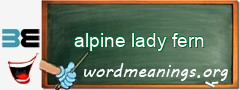 WordMeaning blackboard for alpine lady fern